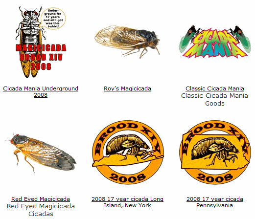 Cicada Shirts