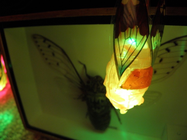 Cicada Christmas Lights