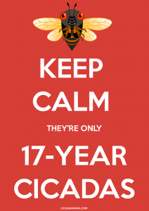Keep Calm