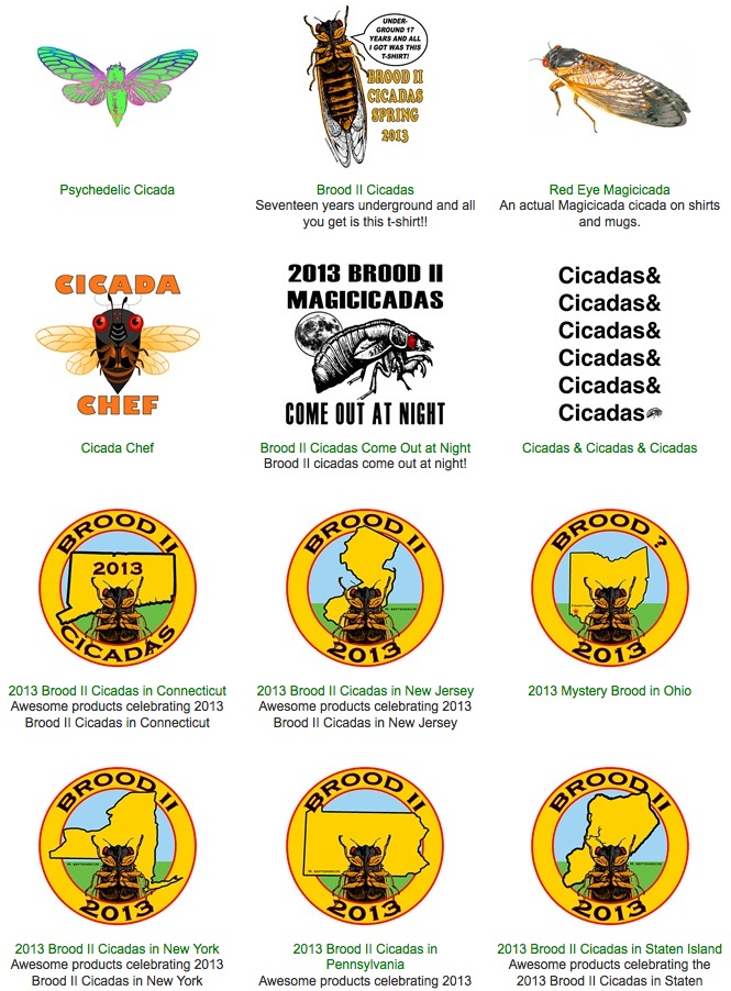 Cicada Schwag