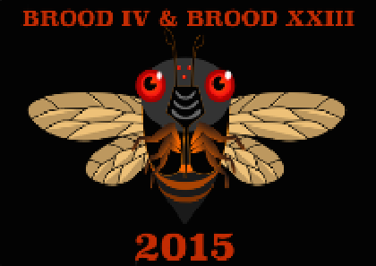 2015 BROOD IV AND XXIII