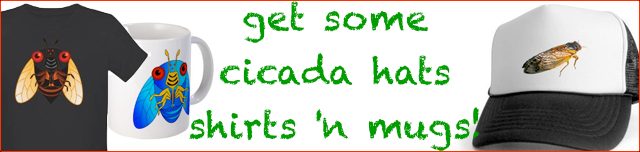 Cicada Hats, Mugs, Shirts and other Items