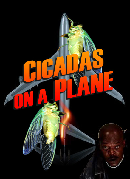 cicadas on a plane