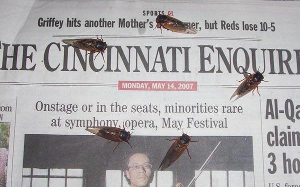 cicadas on newspapaer