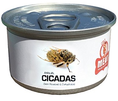 Meat Maniac cicadas in a can