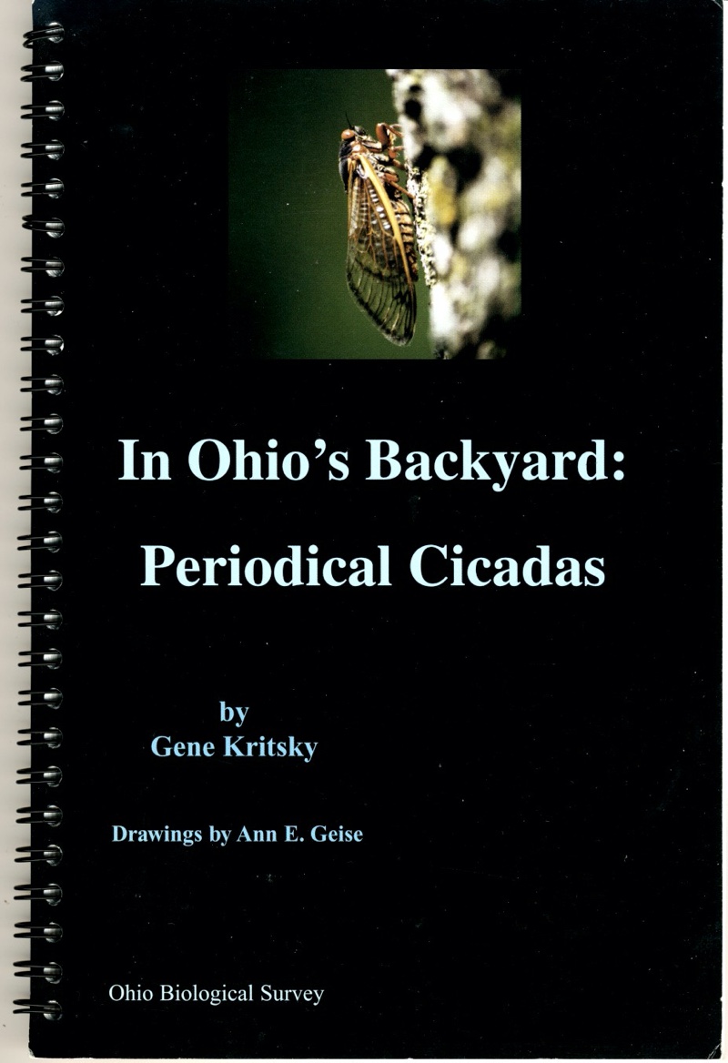 In Ohio's Backyard: Periodical Cicadas