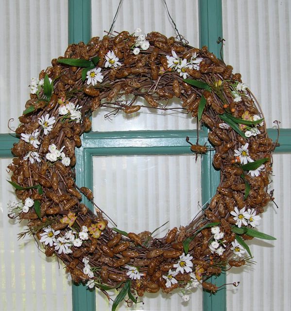 Cicada Wreath