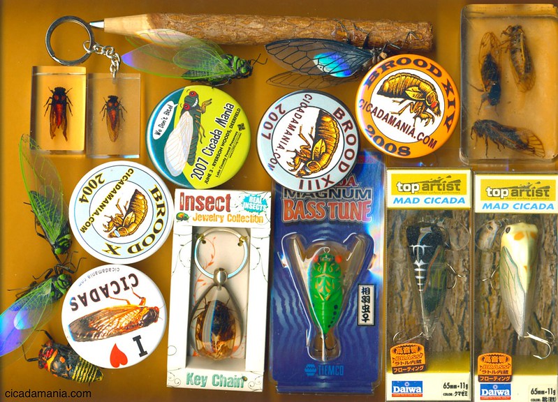 Cicada magnets, key-rings, pens, buttons, pins, fishing lures, etc.