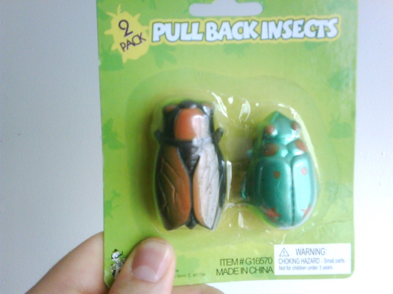 Cicada Toy