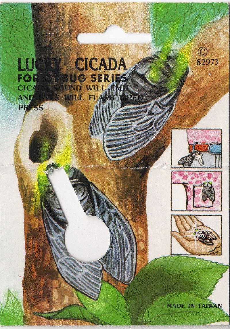 Lucky Cicada