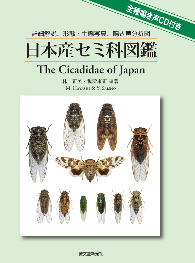 M. Hayashi and Y. Saisho (2011). The Cicadidae of Japan