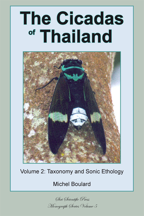 Cicadas of Thailand 2