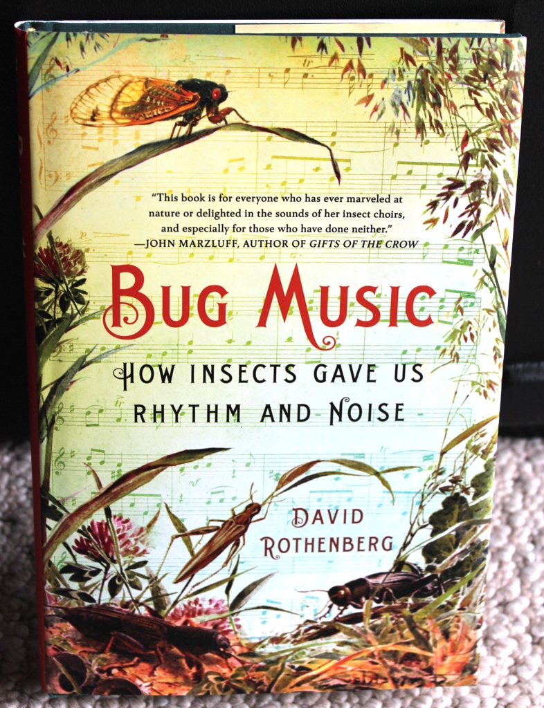 Bug Music How Insects Gave Us Rhythm and Noise by David Rothenberg