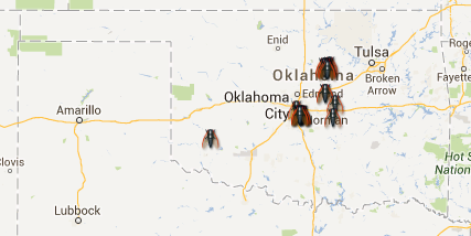 Oklahoma surprise periodical cicada emergence! - Cicada Mania