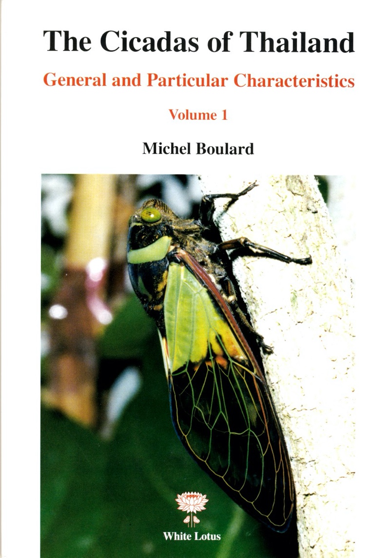 The Cicadas of Thailand by Michel Boulard