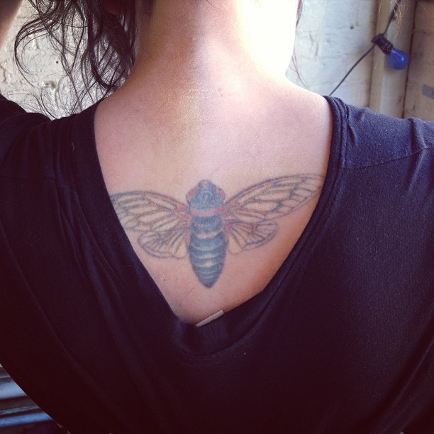 Laura Imbruglia's Cicada Tattoo