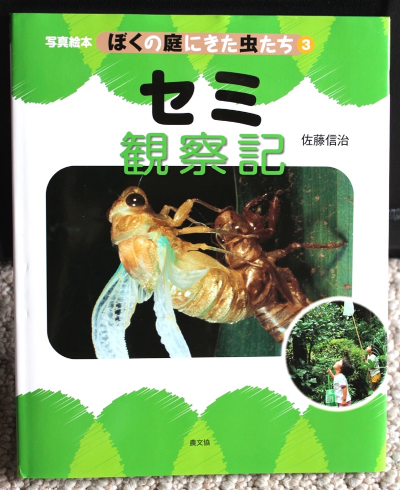 A Cicada Book from Japan