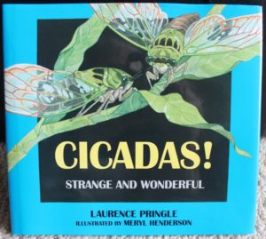Cicadas Strange and Wonderful by Laurence Pringle illustrated by Meryl Henderson