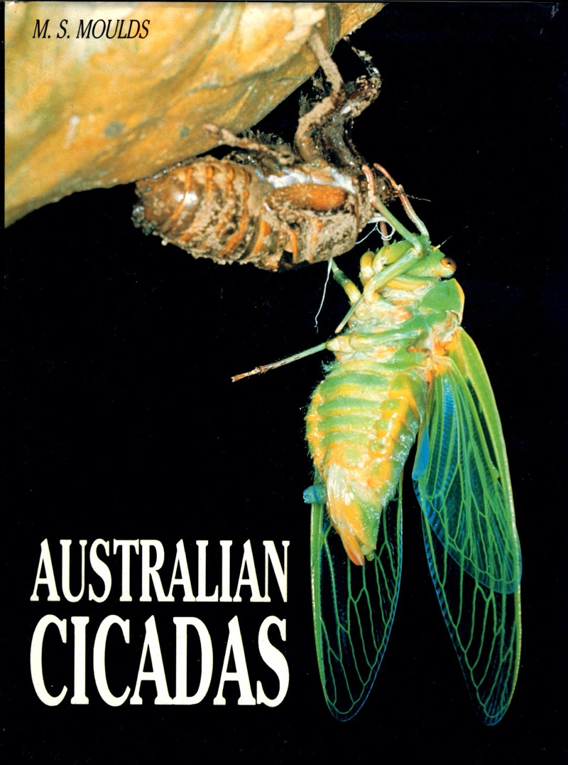 Australian Cicadas by Max Moulds