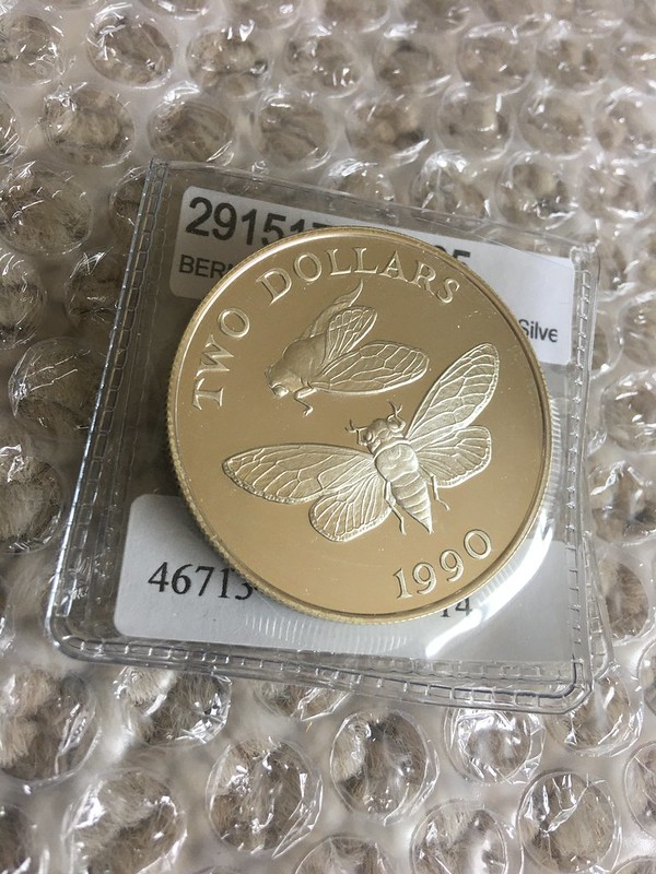 Bermuda cicada coin