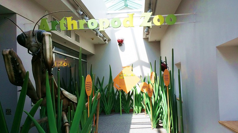 The arthropod zoo in the North Carolina Museum of Natural Science