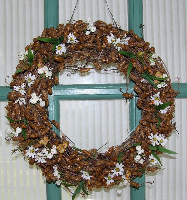 Cicada Christmas Wreath made by Jenny Pate.