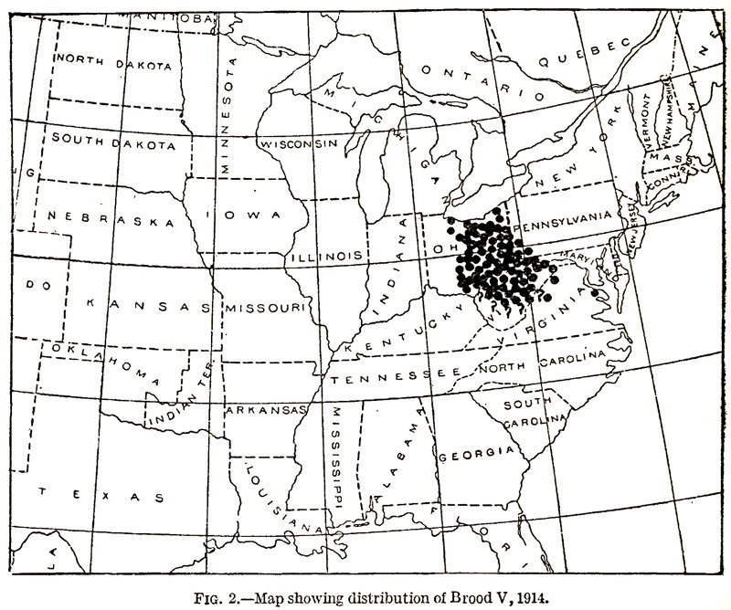 Marlatt, C.L.. 1914. The periodical cicada in 1914. United States. Bureau of Entomology. Brood Map for Brood V.