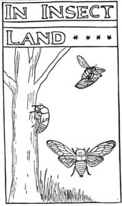 In Insect Land NY Tribune 1902