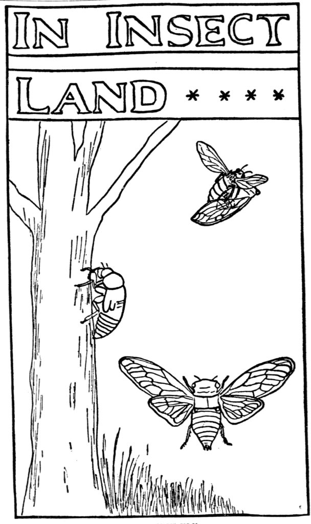 In Insect Land NY Tribune 1902