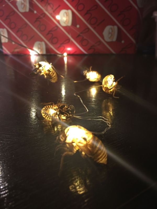 String of Cicada Lights