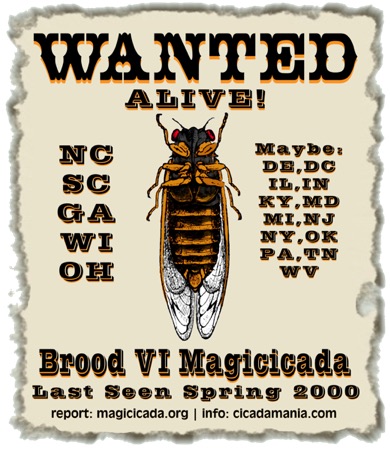 Wanted Poster