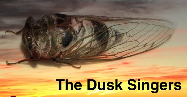 The Dusk Singers