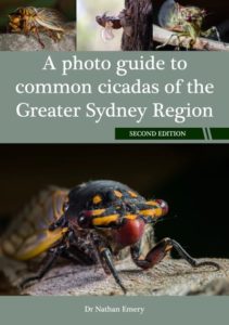 A photo guide to common cicadas of the Greater Sydney region