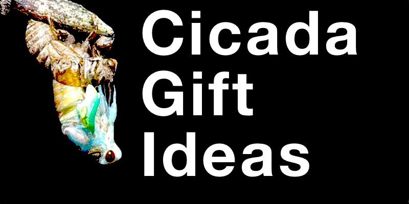Cicada Gift Ideas