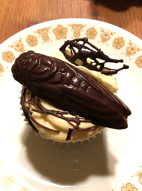 Cicada Cupcakes