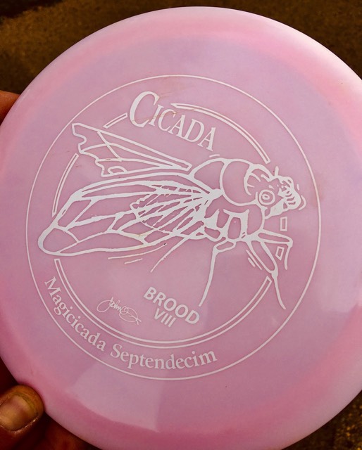 Cicada Frisbee