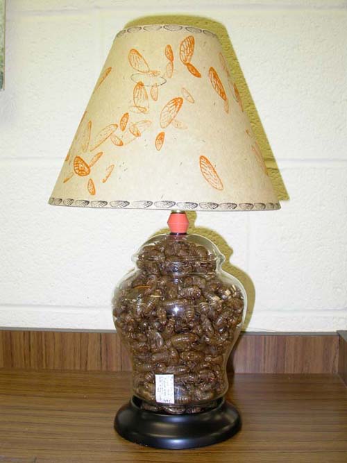 Cicada Skin Lamps by Gaye Williams
