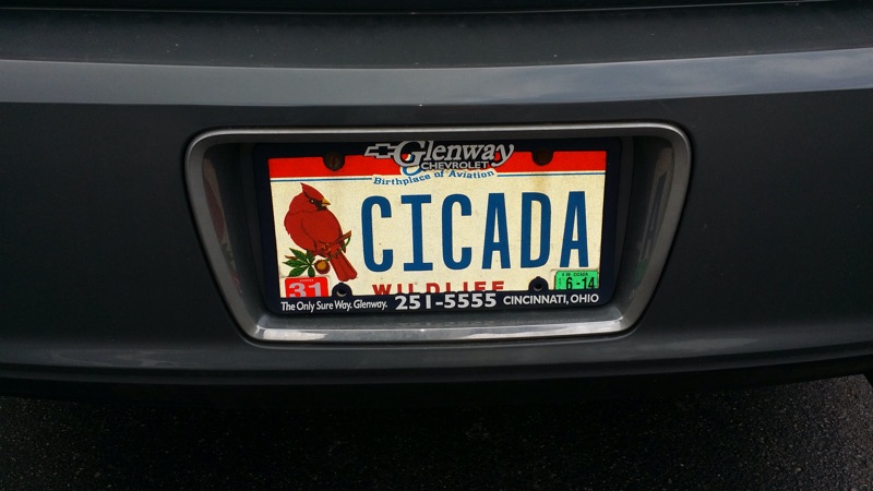 CICADA license plate