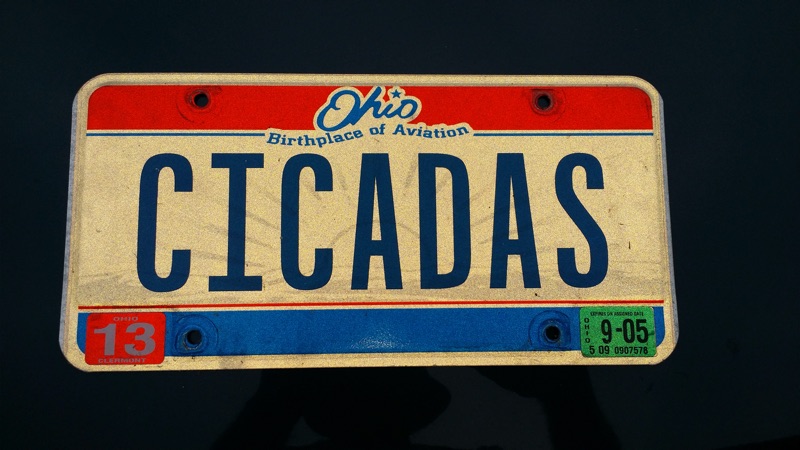 CICADAS license plate