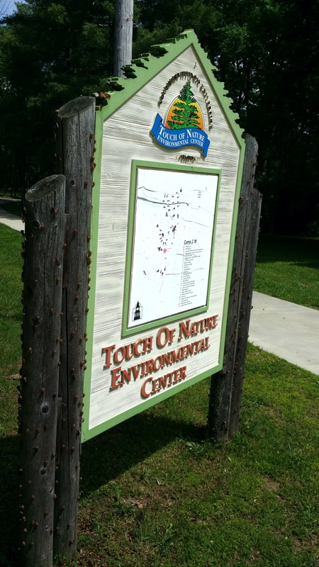 Cicada skins on Touch of Nature sign in Illinois