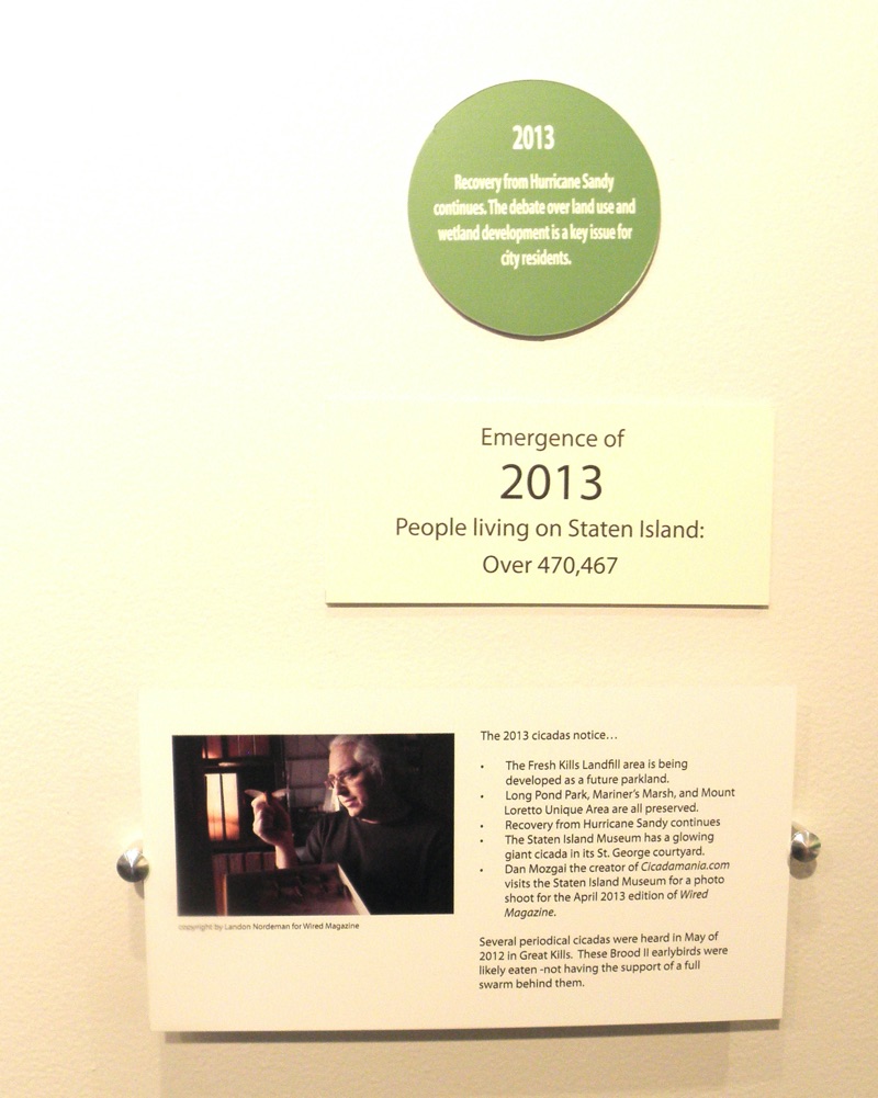 Dan Mozgai featured on the Staten Island Museums Cicada Timeline