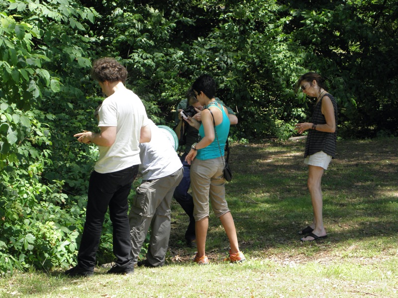 David Rothenberg, John Cooley, Asher Jay and others looking for cicadas in Roosevelt Park