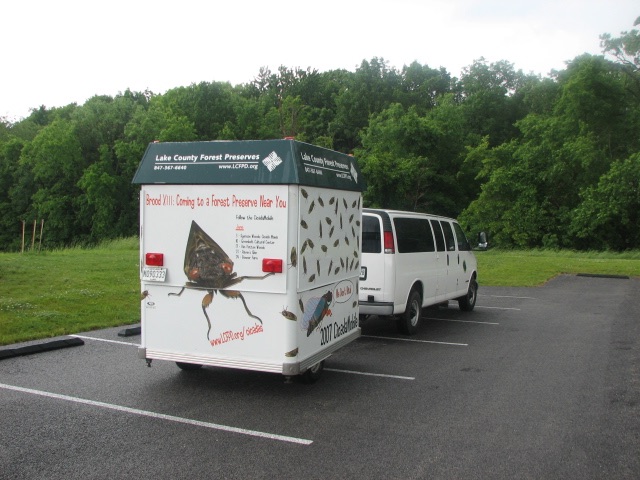 Cicada Mobile. Lake County Forest Preserve outside of Chicago. Brood XIII. 2007.