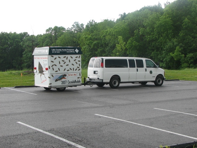 Cicada Mobile. Lake County Forest Preserve outside of Chicago. Brood XIII. 2007.