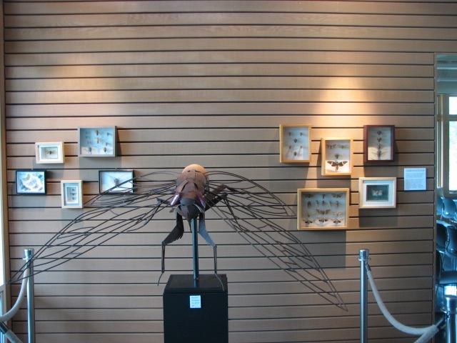 Cicada Sculpture. Lake County Forest Preserve outside of Chicago. Brood XIII. 2007.