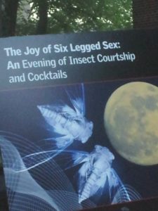 Brood II - Cicada Mania