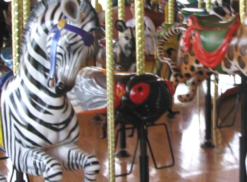 Cicada Carousel Ride at the Brookfield Zoo