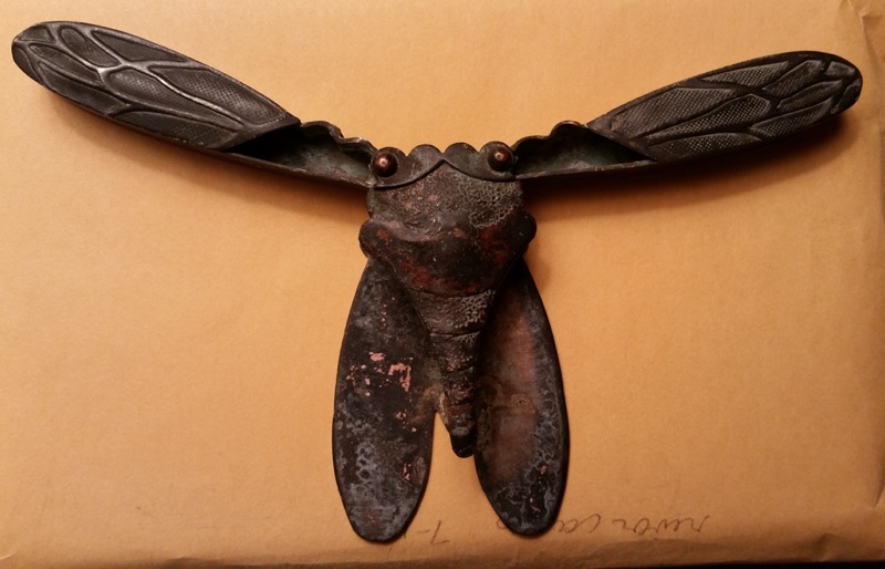 Mystery Cicada Object