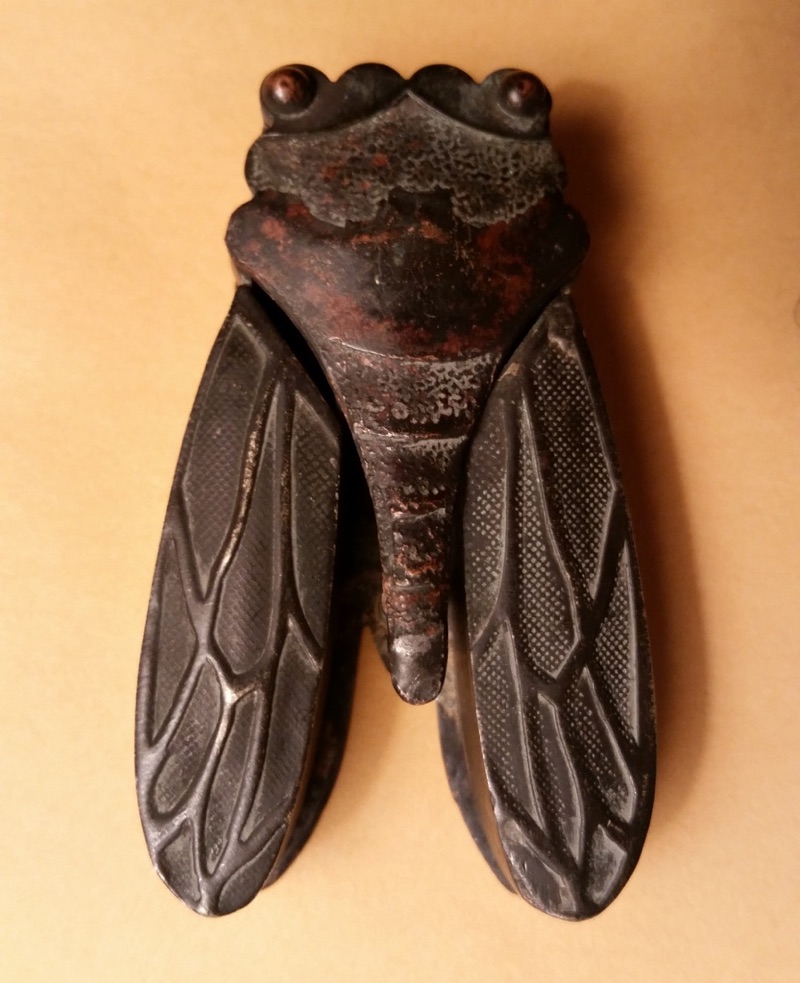 Mystery Cicada Object