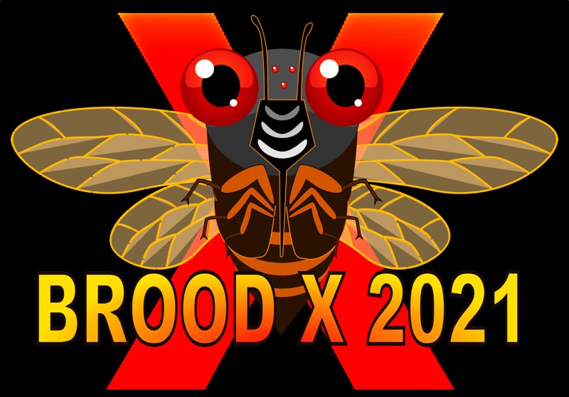 Brood X 2021 Cicadas logo